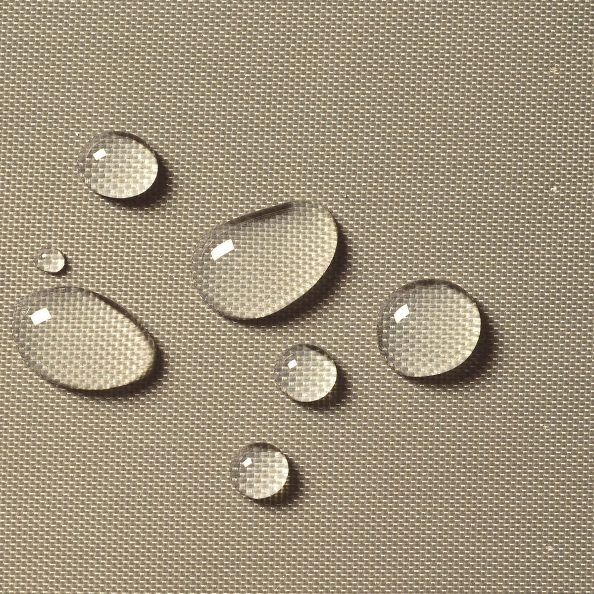 72402_h1.jpg