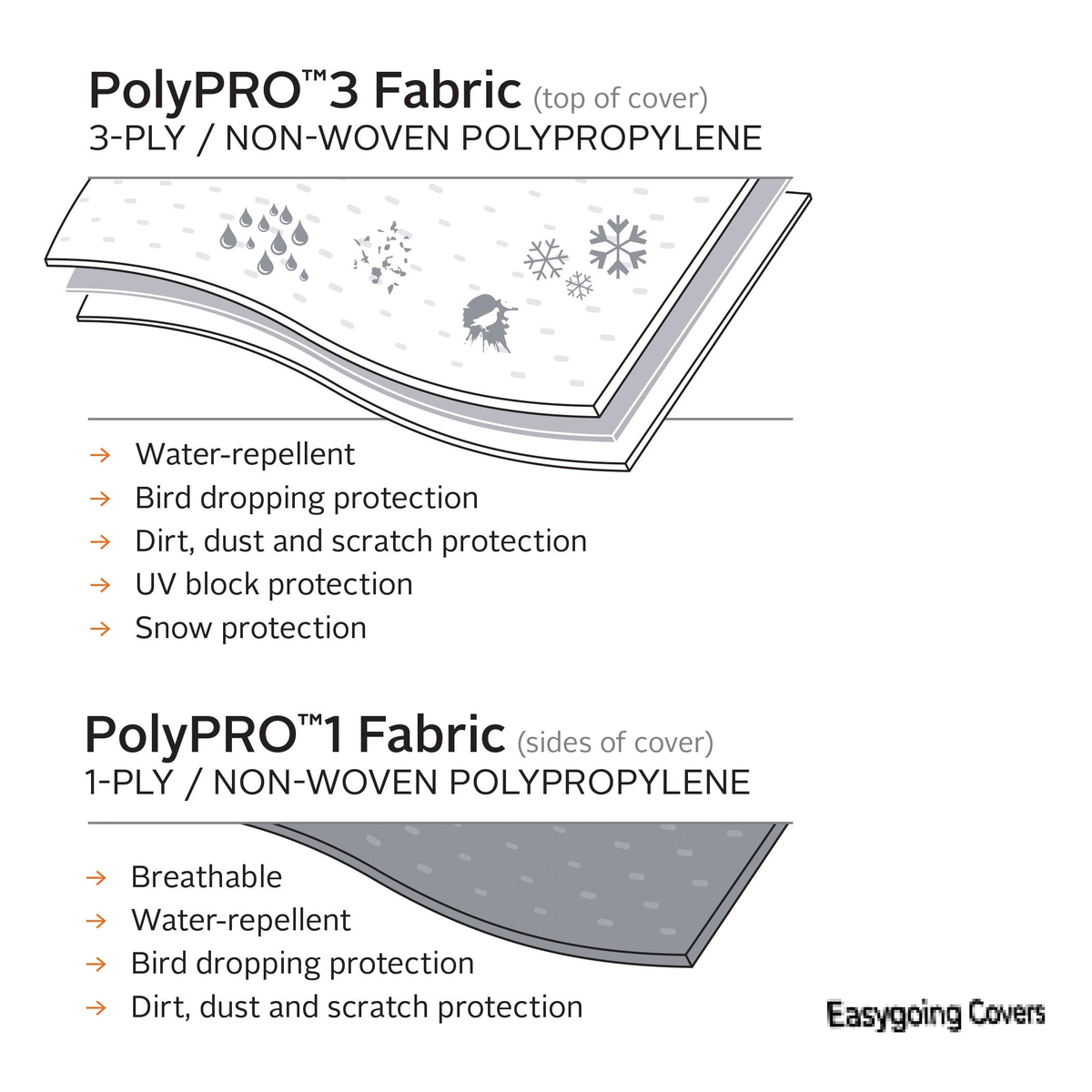 RV_PP3_FabricGraphic.jpg
